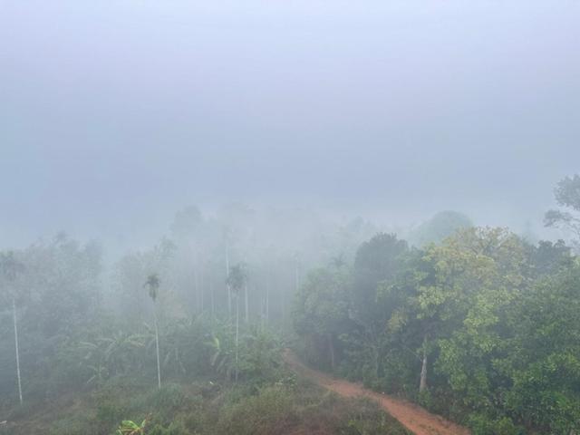 Wayanad Vista Service Apartment Kültér fotó